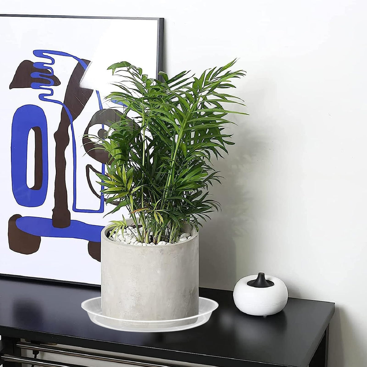 FUIJOL easy-clean plant saucer with slim profile for neat arrangements.