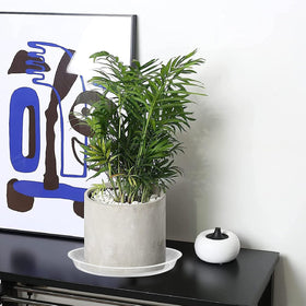 FUIJOL easy-clean plant saucer with slim profile for neat arrangements.