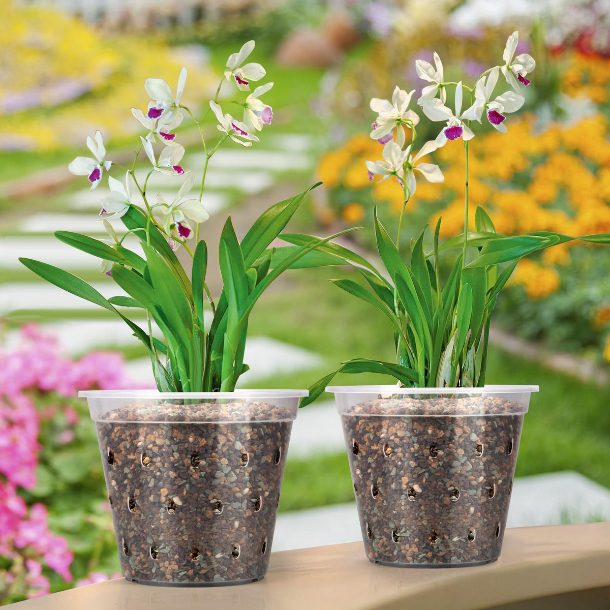 FUIJOL indoor outdoor orchid pot ideal for repotting and decor