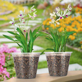 FUIJOL indoor outdoor orchid pot ideal for repotting and decor