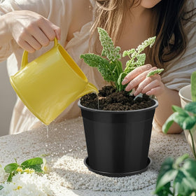 FUIJOL suitable for indoor and outdoor use for versatile gardening.