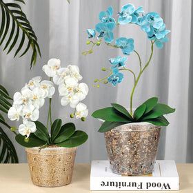 FUIJOL durable plastic orchid pot liner fits ceramic pots