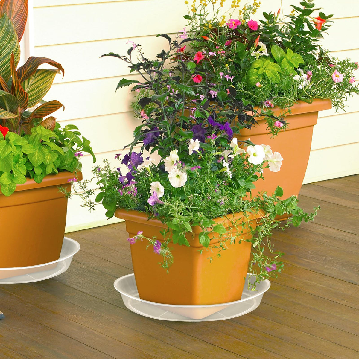 FUIJOL multi-pack clear plant trays enables flexible pot combinations.