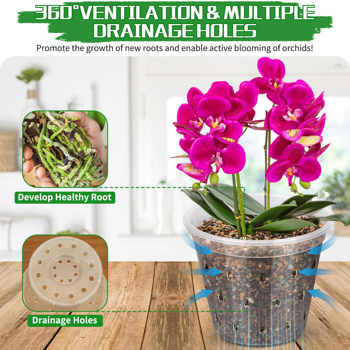 FUIJOL clear orchid pot showing root health through transparent walls