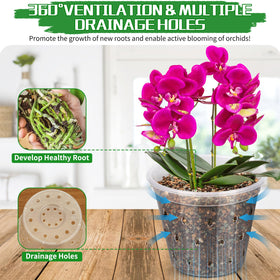 FUIJOL clear orchid pot showing root health through transparent walls