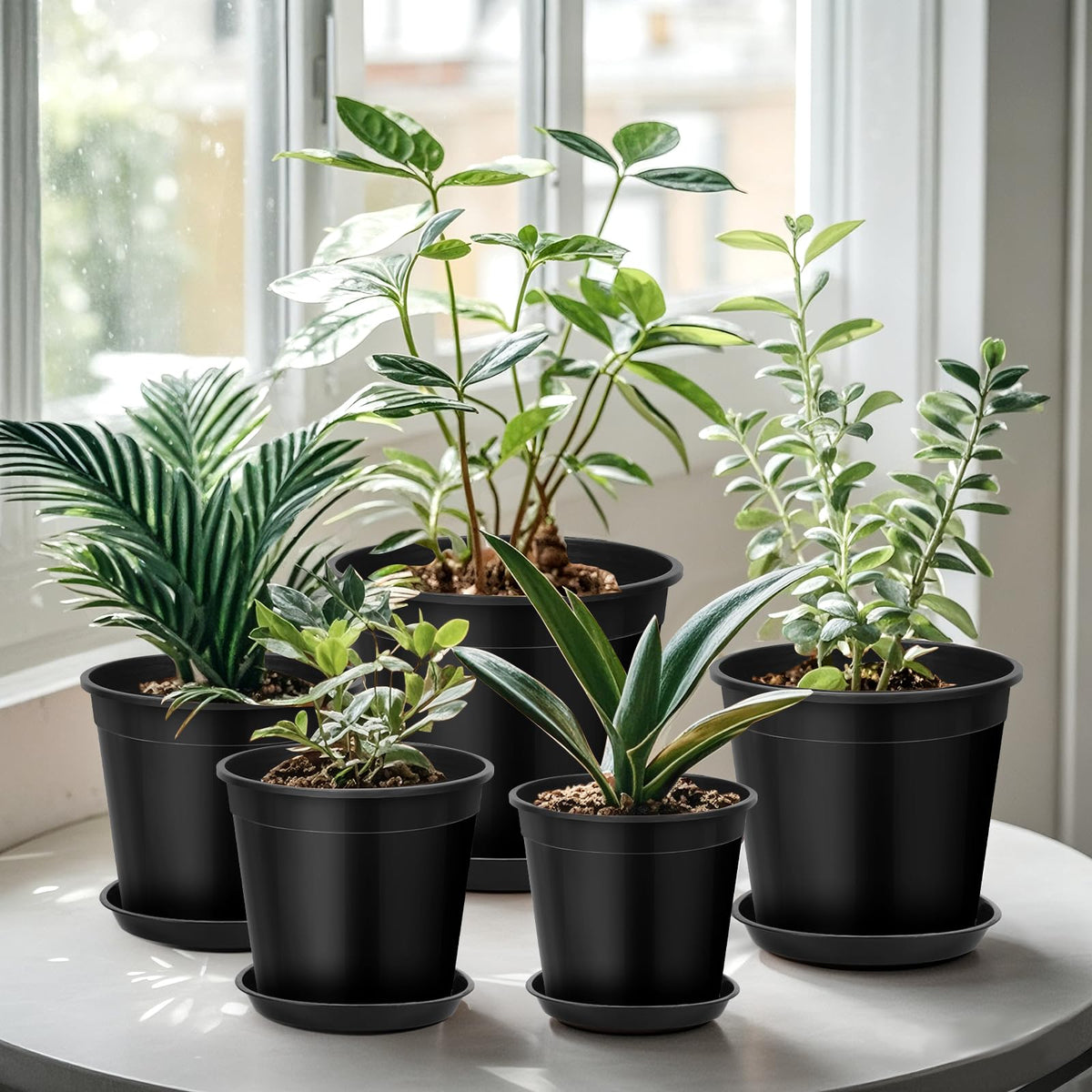 FUIJOL pot dimensions help plan plant placement with precise top and bottom measurements.