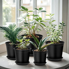 FUIJOL pot dimensions help plan plant placement with precise top and bottom measurements.