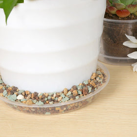 FUIJOL water catcher saucer indoor-outdoor use prevents surface mess.