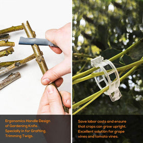 FUJIWARA included accessories like tapes and knives support versatile grafting tasks