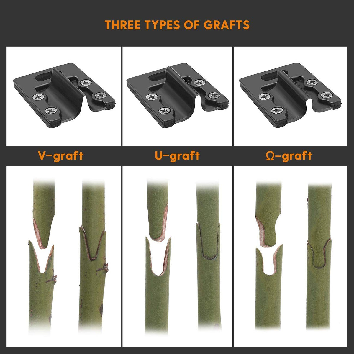 FUJIWARA V-graft blade delivers accurate V-shaped cuts for high success