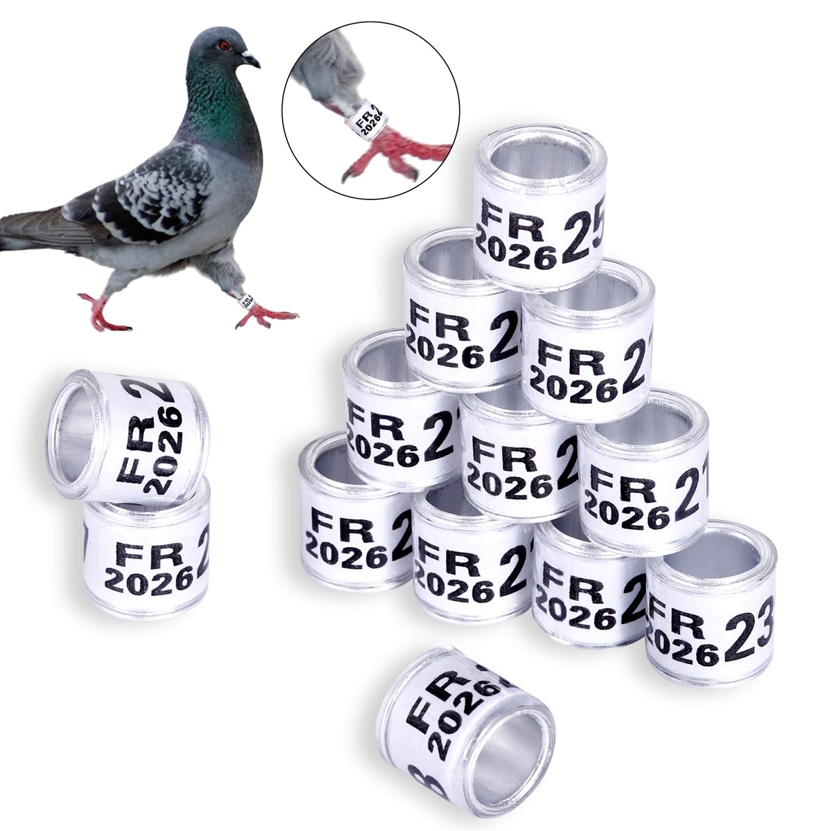 FULAIERGD pigeon leg ring 2026 white laser-number for easy identification