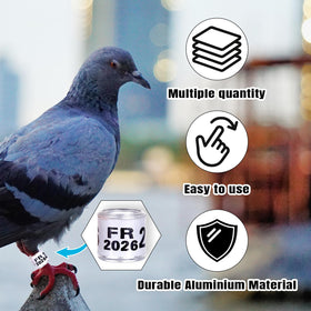 FULAIERGD pigeon leg ring 2026 white packaging ready for breeding operations