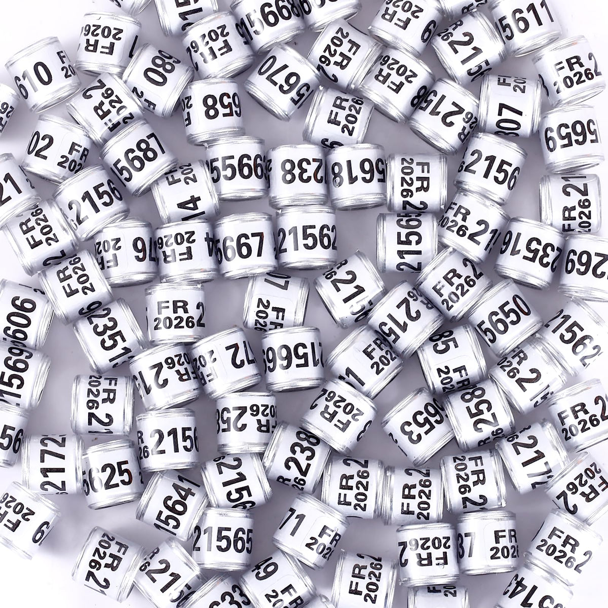 FULAIERGD pigeon leg ring 2026 white quick-distinguish aids breed separation