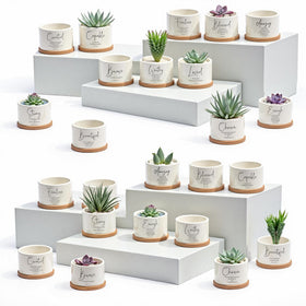Fumete Bible verse succulent pots close up showing durable ceramic and bright scripture prints for home decor.