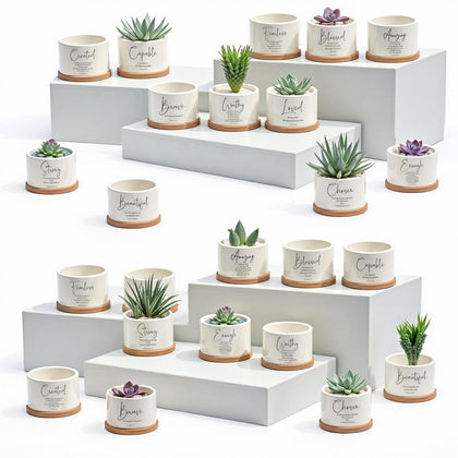 Fumete Bible verse succulent pots close up showing durable ceramic and bright scripture prints for home decor.