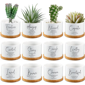 Fumete Bible Verse Succulent Pot with verse design, ideal for desk or shelf decor.