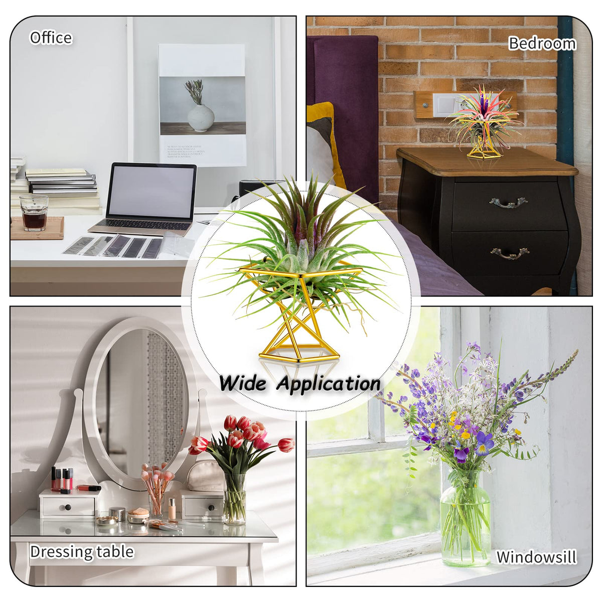 Funrous air plant holder used as desk organizer and accent piece
