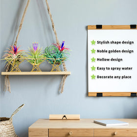 Funrous gold air plant holder on a sunny shelf ideal for small plants