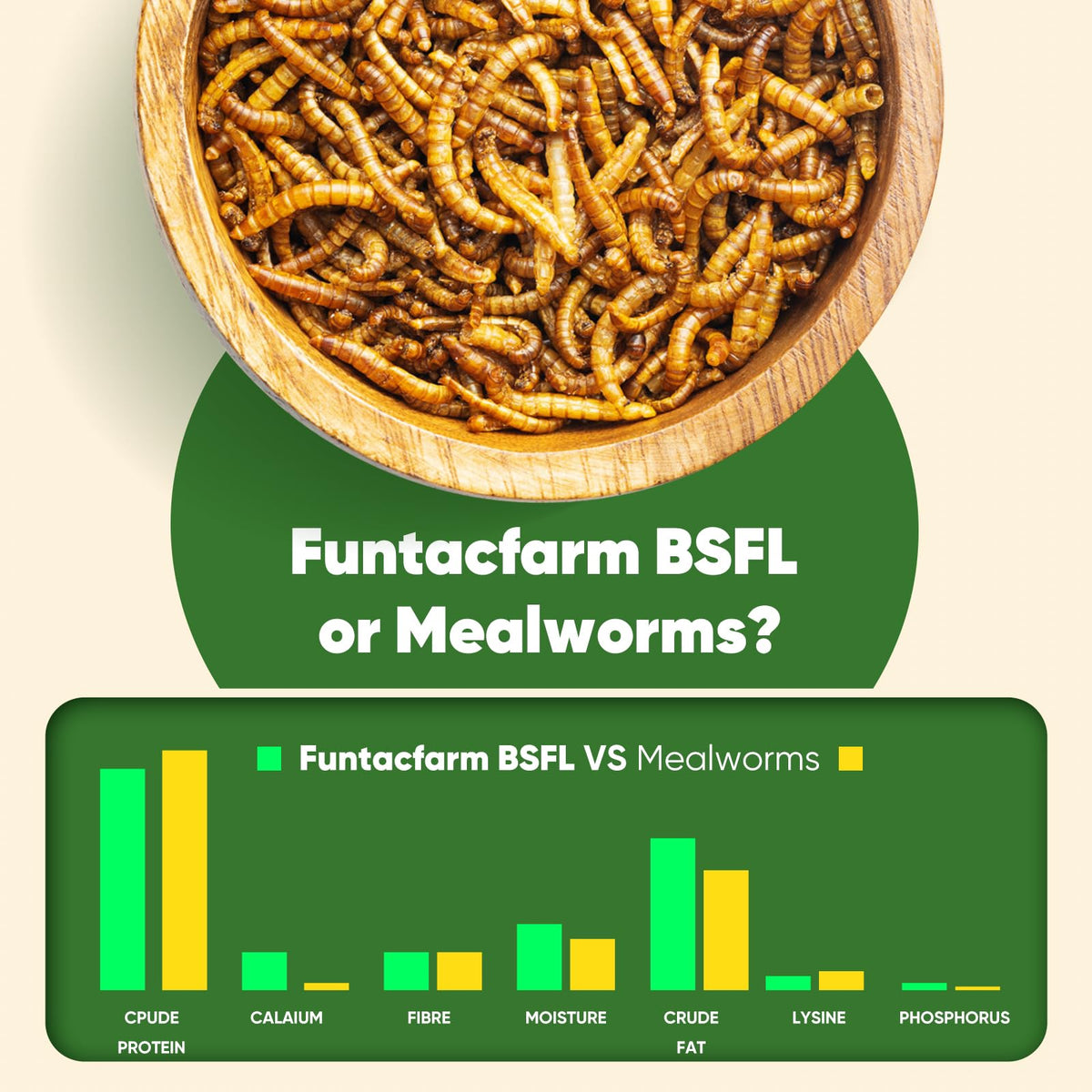 Aroma and crispy texture of Funtacfarm BSFL dried worms appealing to birds.