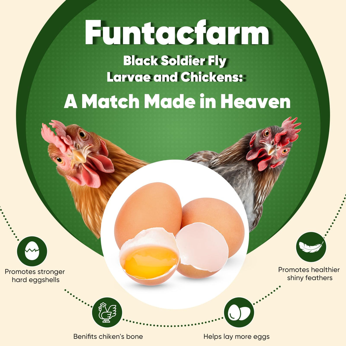 Natural, non-GMO BSFL dried worms by Funtacfarm for healthy snacking.