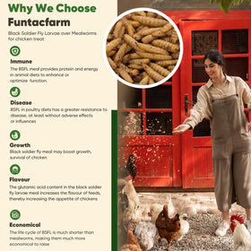 Sealed bag packaging ensures freshness for Funtacfarm BSFL dried worms.