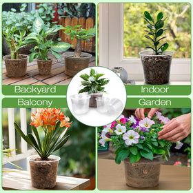 FUOAUYK 5-pack clear pot set designed for seed starting and transplanting.