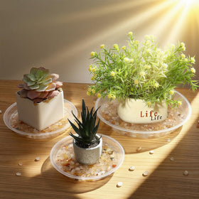 FUOAUYK clear plant saucer indoors no-holes keeps surfaces clean.