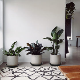 FUOAUYK plant saucer 22-inch top view versatile for indoor greenery and drip control.