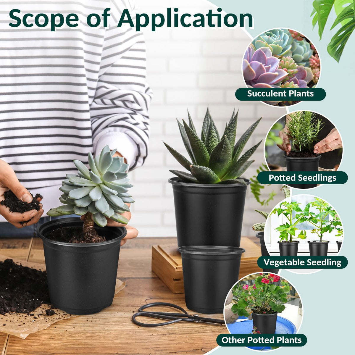 FUOAUYK pots ideal for herbs, cuttings, and starter plants