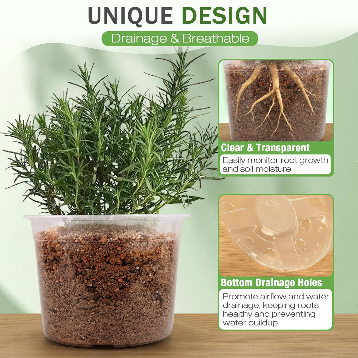 FUOAUYK clear plastic pot for quick soil moisture view and checks.