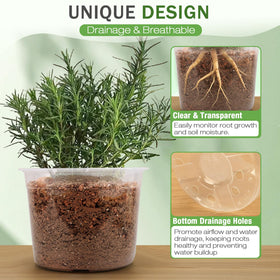 FUOAUYK clear plastic pot for quick soil moisture view and checks.