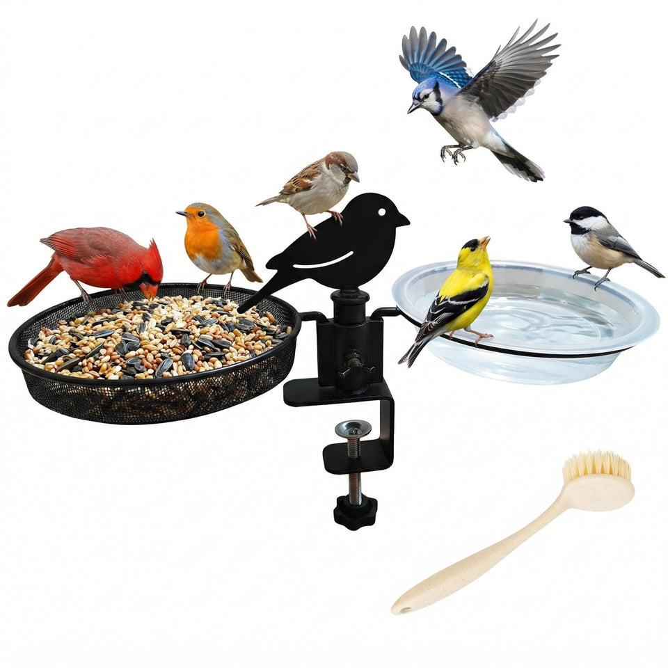 Fusionchaos deck bird feeder and bath on a railing for easy balcony birdwatching.