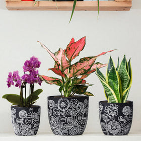 FUYHE Terracotta Pots, medium size, ideal for herbs and small greenery.