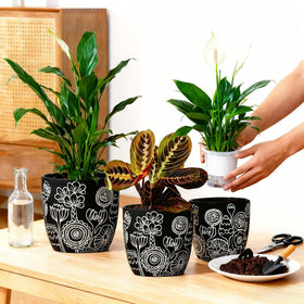 FUYHE Terracotta Pots, small size, perfect for succulents and desk plants.