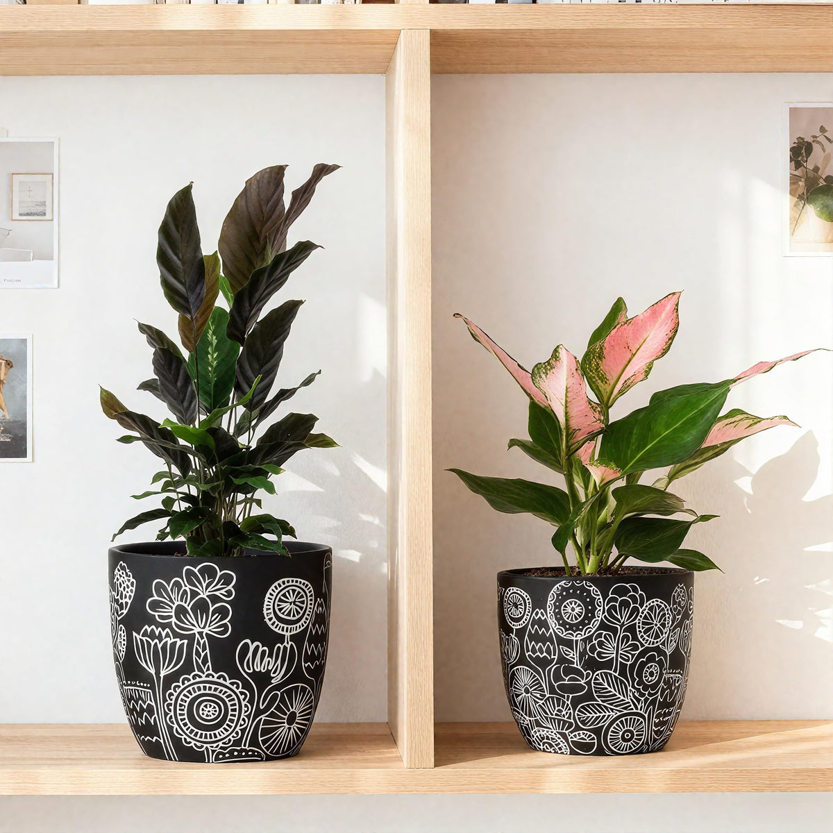 FUYHE Gift-ready packaging makes these planters great for plant lovers.