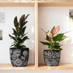 FUYHE Gift-ready packaging makes these planters great for plant lovers.