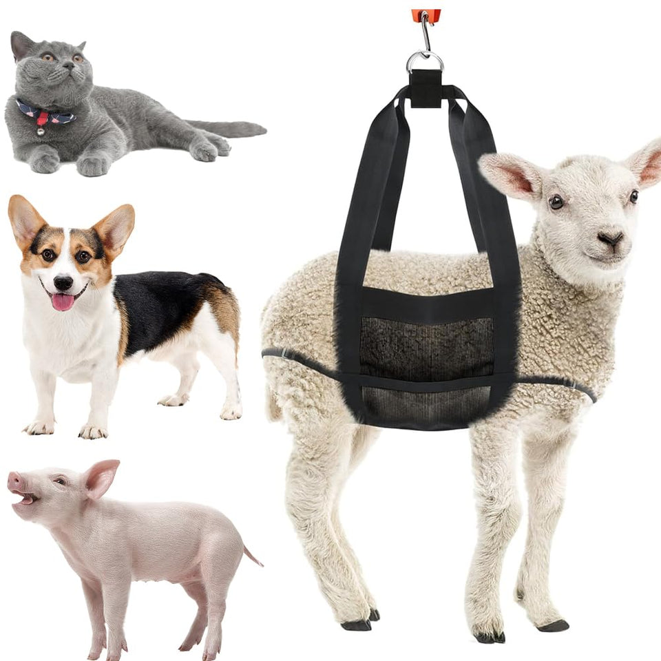 Fuziddn heavy-duty livestock sling cradling a goat for accurate, calm weight checks.