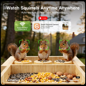Fuzzipet IP65-rated enclosure shields against rain and wind for reliable outdoor viewing.
