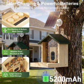 Fuzzipet smart feeder video stream lets you watch squirrels live from your phone.