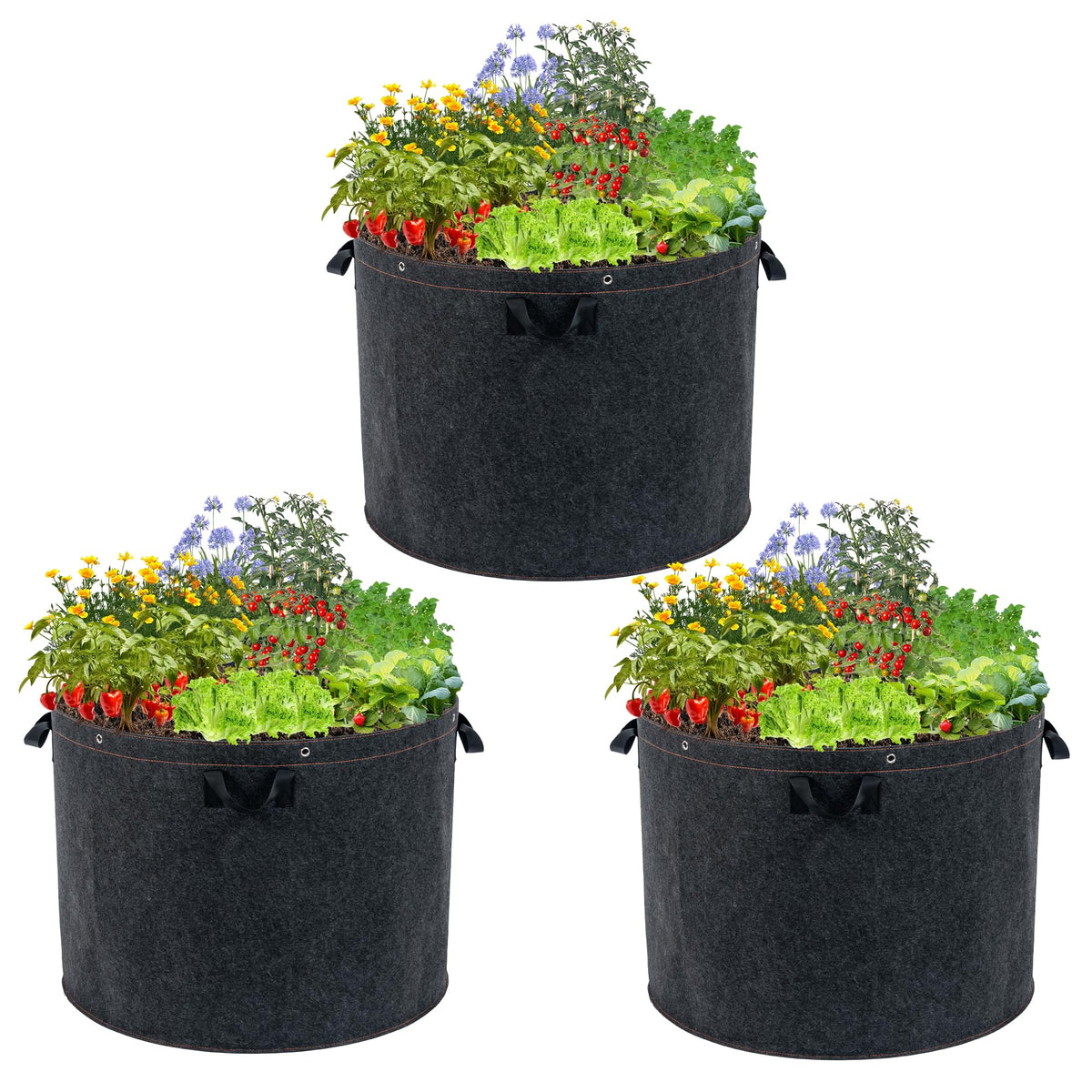 FVOTNW 50 gallon grow bag with handles for easy repositioning and large plant support.