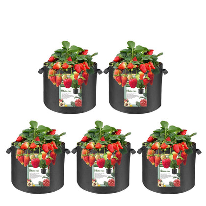 FVOTNW 5-pack 10-gallon grow bags with handles for easy transport.