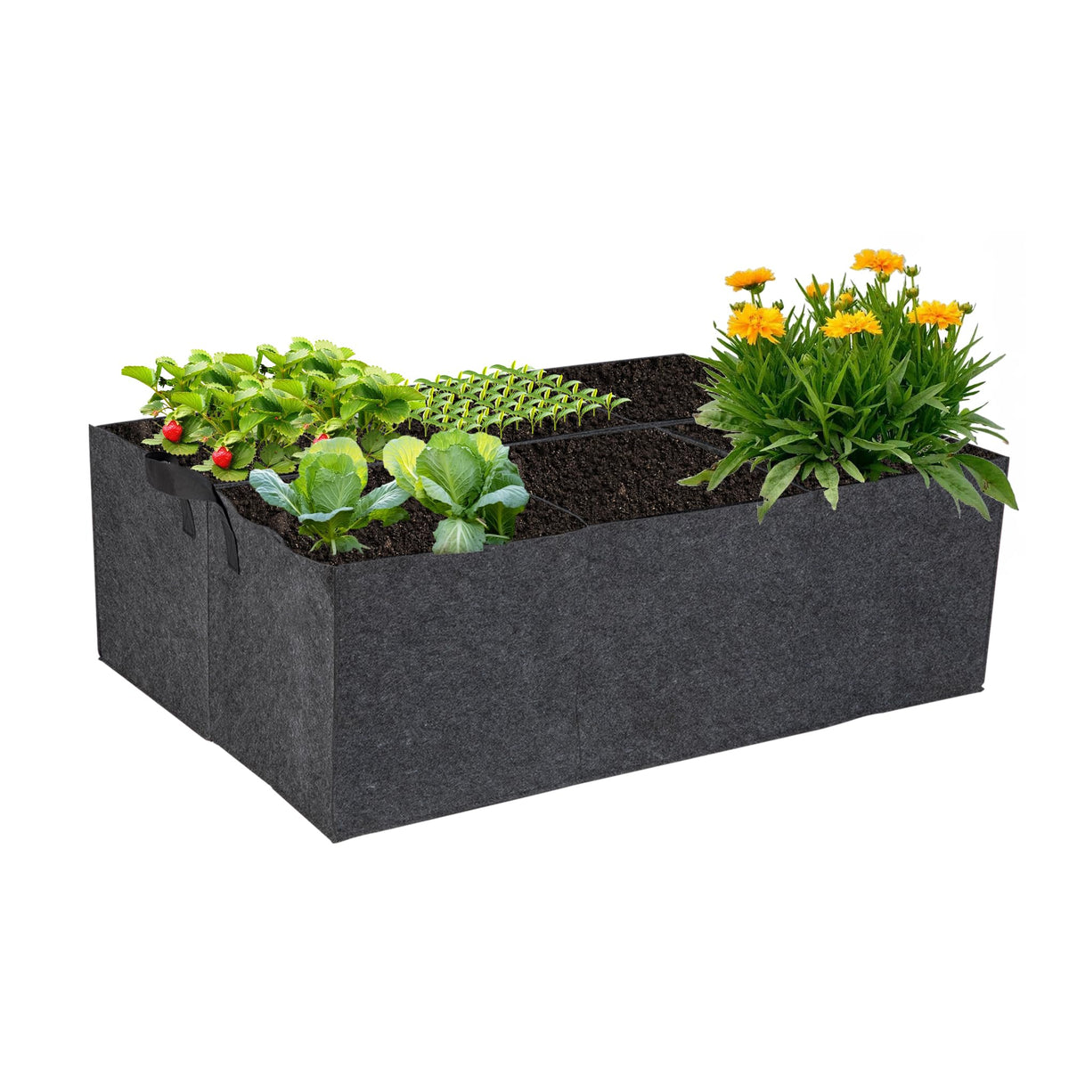 FVOTNW 6-grid fabric grow bag showing compact six-compartment design for organized planting