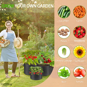 FVOTNW suitable for outdoor garden and indoor planting.