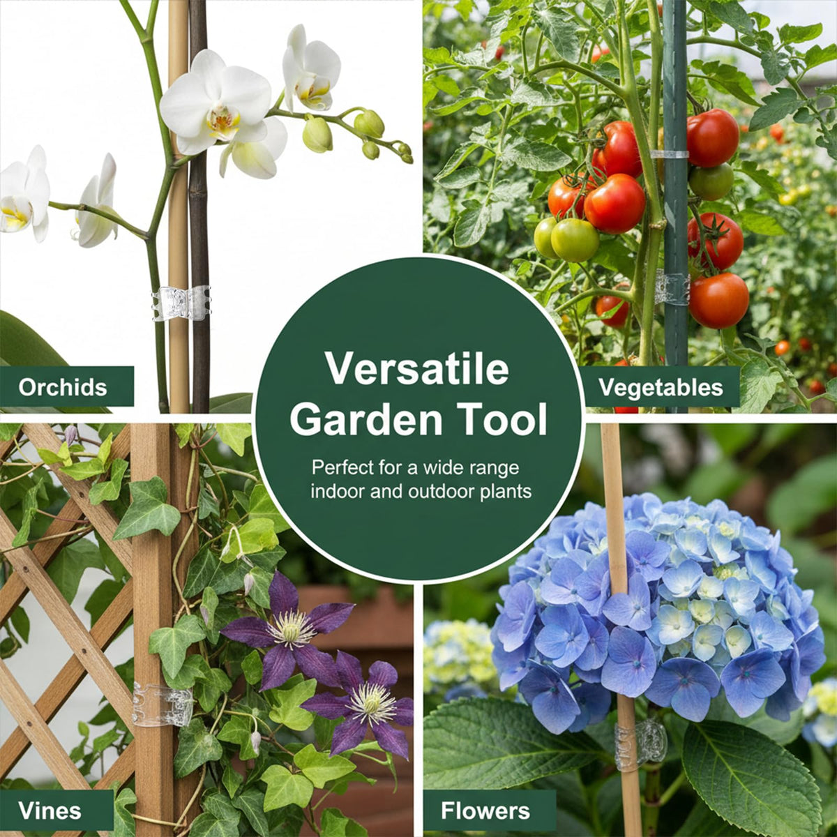 Fyntave durable plastic clips reduce bending while supporting flowering plants