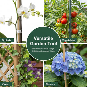 Fyntave durable plastic clips reduce bending while supporting flowering plants