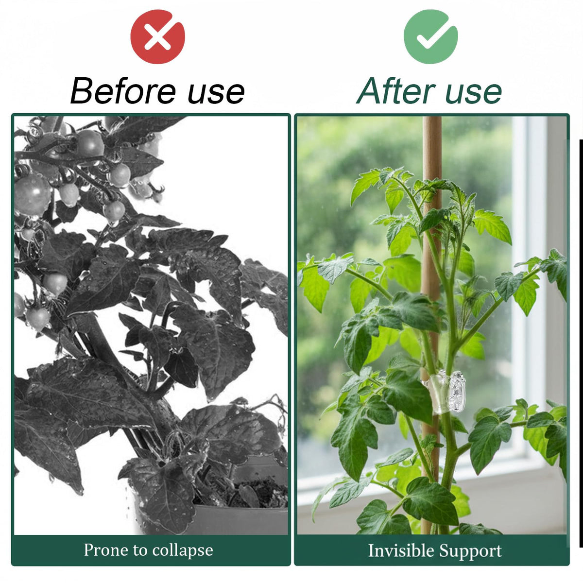 Fyntave clips fit small to medium stems, offering stable growth guidance