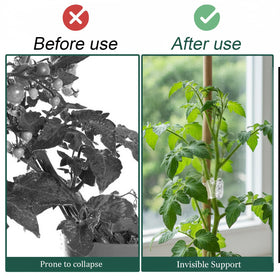 Fyntave clips fit small to medium stems, offering stable growth guidance