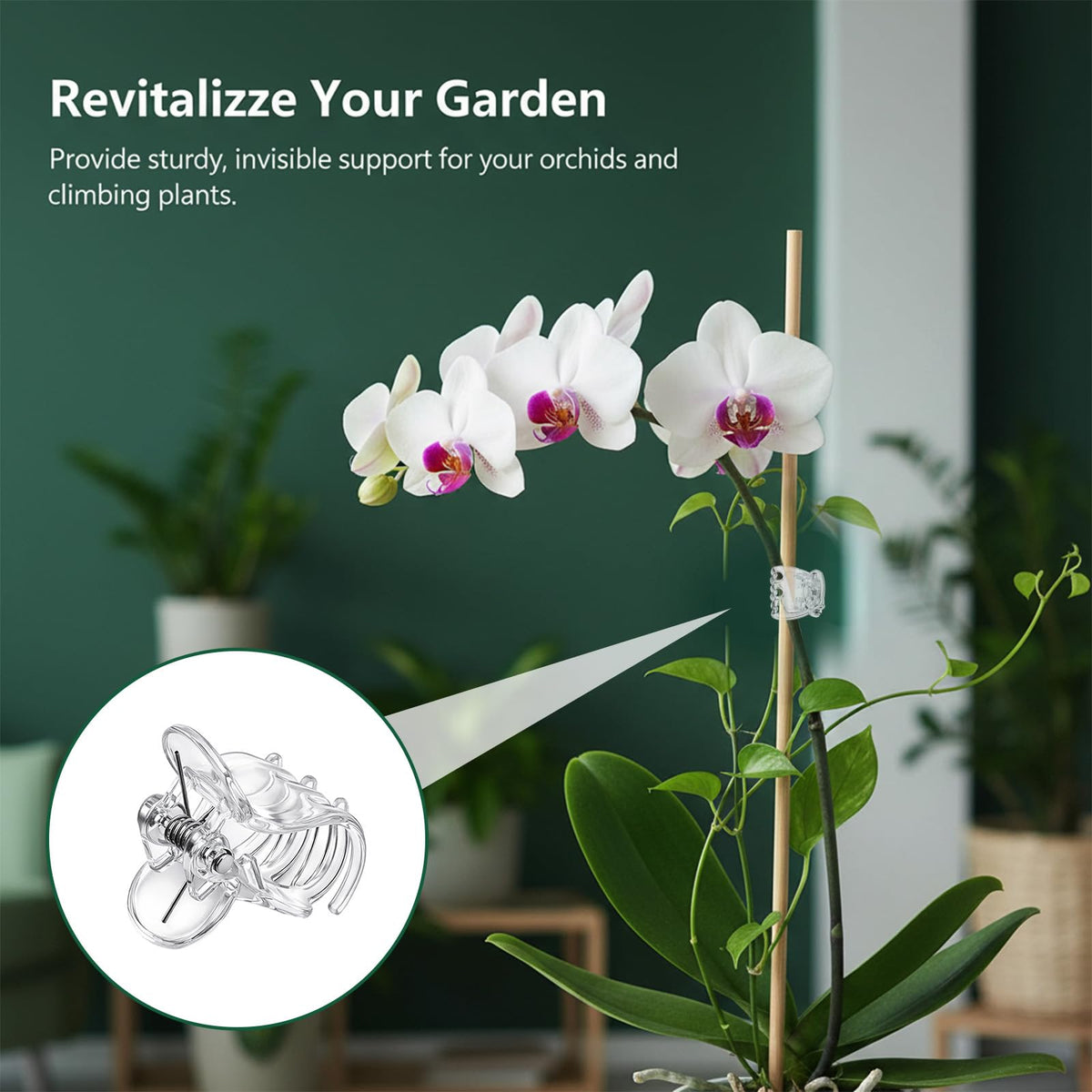 Fyntave six-claw clip provides gentle hold to guide stems without damage