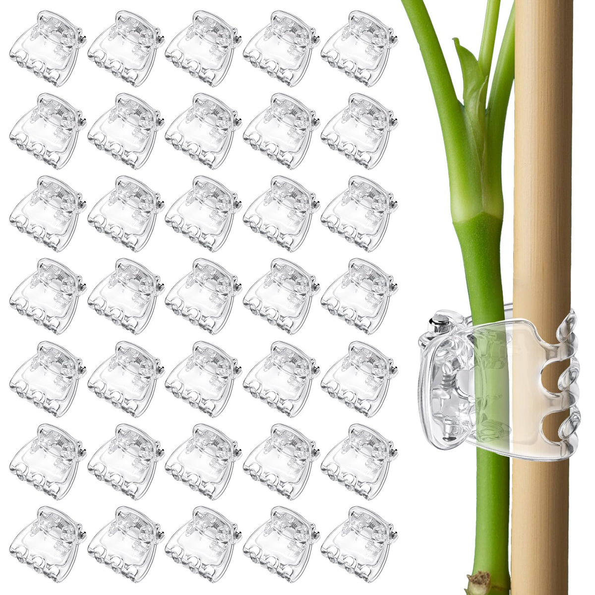 Fyntave six-claw orchid clip with transparent grip for secure indoor plant support