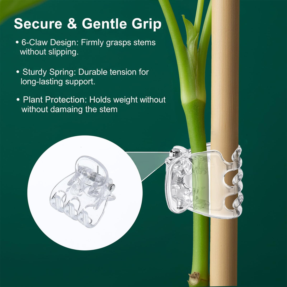 Fyntave transparent clip ideal for vines and trellises, indoors or outdoors